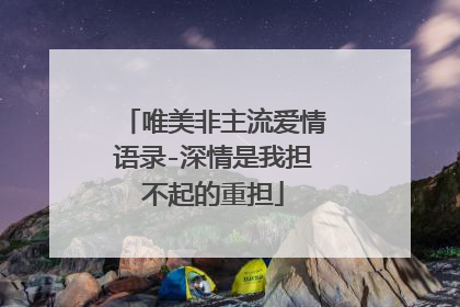 唯美非主流爱情语录-深情是我担不起的重担