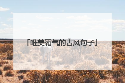 唯美霸气的古风句子