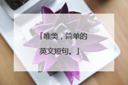 唯美，简单的英文短句。