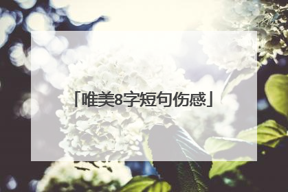 唯美8字短句伤感