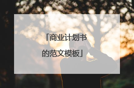 商业计划书的范文模板
