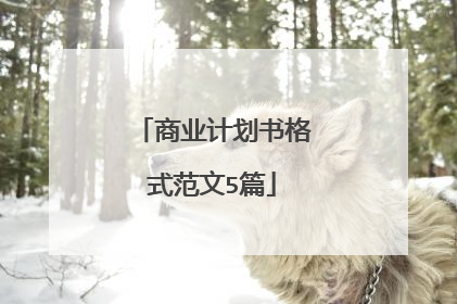 商业计划书格式范文5篇