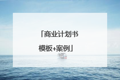 商业计划书模板+案例