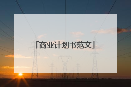 商业计划书范文