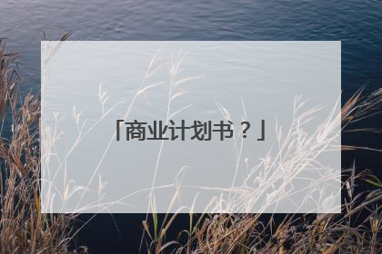商业计划书?