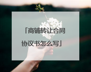 商铺转让合同协议书怎么写