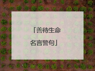 善待生命名言警句