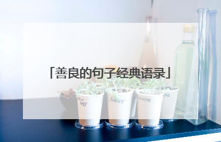 善良的句子经典语录