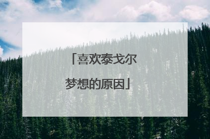 喜欢泰戈尔梦想的原因