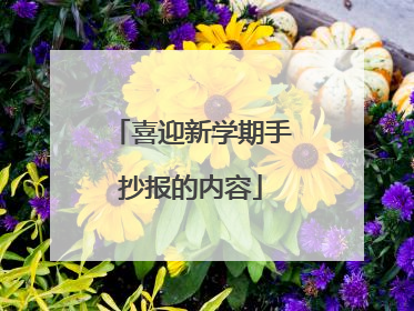 喜迎新学期手抄报的内容