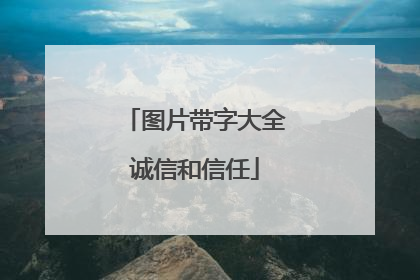 图片带字大全诚信和信任