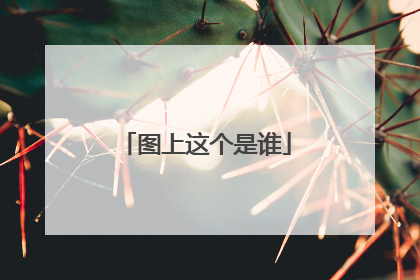 图上这个是谁