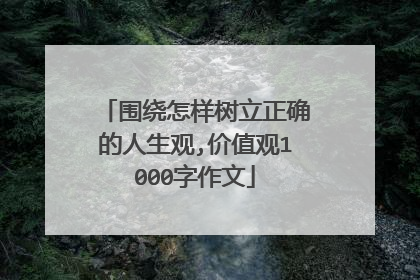 围绕怎样树立正确的人生观,价值观1000字作文