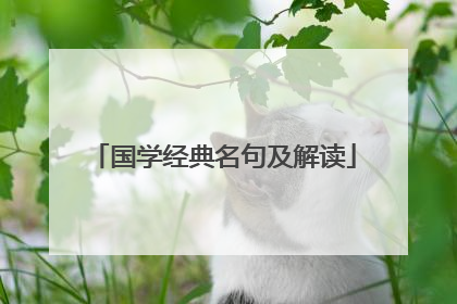 国学经典名句及解读
