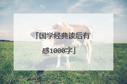 国学经典读后有感1000字