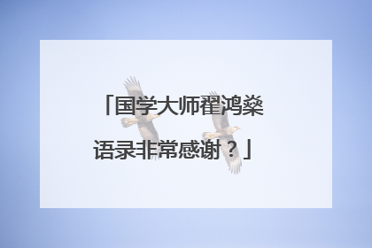 国学大师翟鸿燊语录非常感谢?