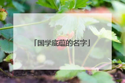 国学底蕴的名字