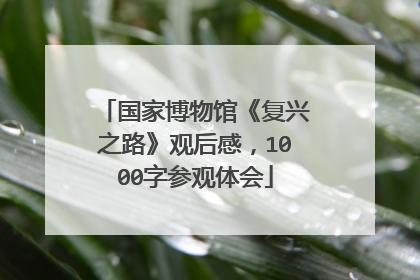 国家博物馆《复兴之路》观后感,1000字参观体会