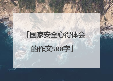 国家安全心得体会的作文500字