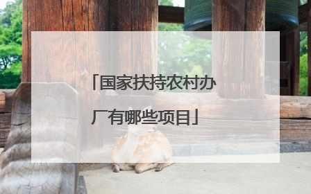 国家扶持农村办厂有哪些项目