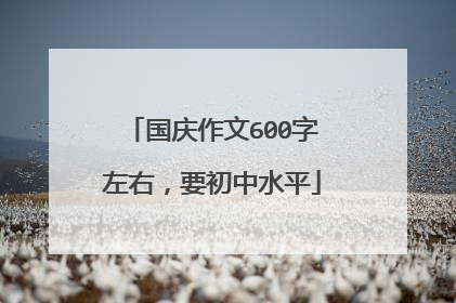 国庆作文600字左右,要初中水平