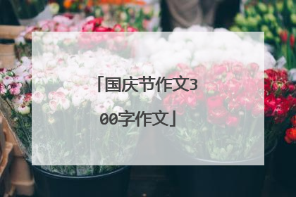 国庆节作文300字作文
