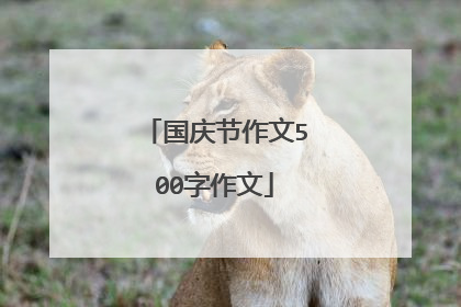 国庆节作文500字作文
