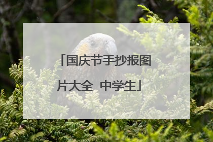 国庆节手抄报图片大全 中学生