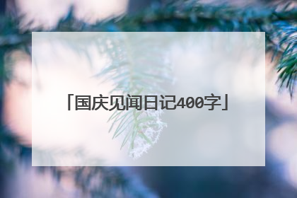 国庆见闻日记400字
