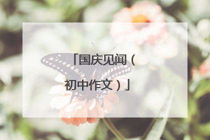 国庆见闻(初中作文)