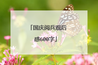 国庆阅兵观后感600字