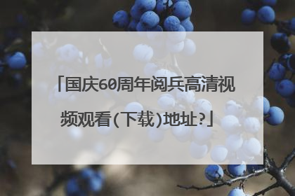 国庆60周年阅兵高清视频观看(下载)地址?
