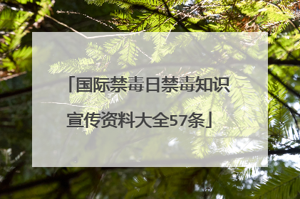 国际禁毒日禁毒知识宣传资料大全57条