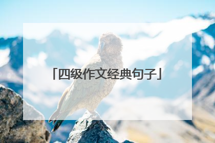 四级作文经典句子