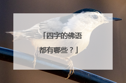 四字的佛语都有哪些？
