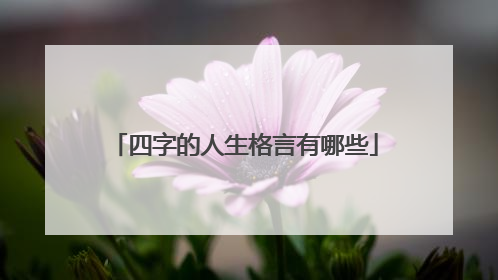 四字的人生格言有哪些