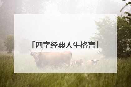 四字经典人生格言