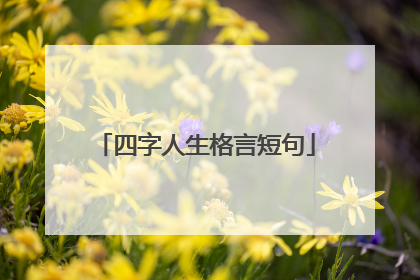 四字人生格言短句