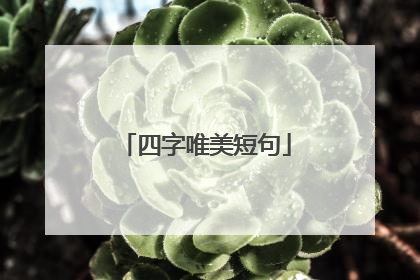 四字唯美短句