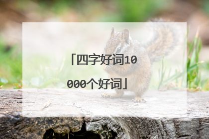 四字好词10000个好词