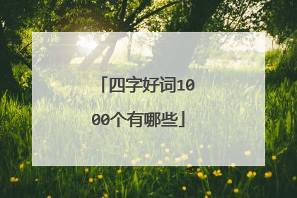 四字好词1000个有哪些