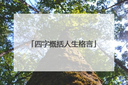四字概括人生格言