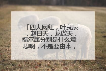 四大网红，叶良辰，赵日天，龙傲天，福尔康分别是什么意思啊，不是要由来，是什么意思啊？