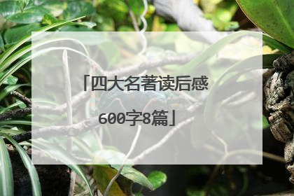 四大名著读后感600字8篇