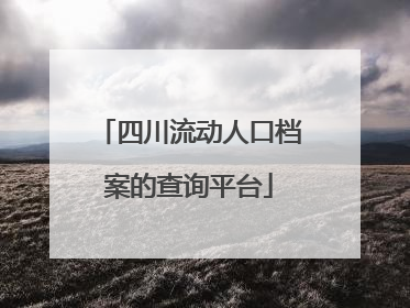 四川流动人口档案的查询平台