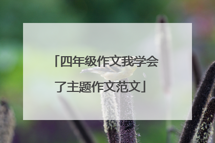 四年级作文我学会了主题作文范文