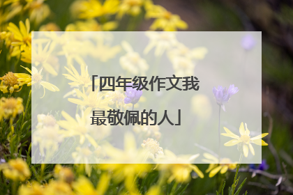 四年级作文我最敬佩的人
