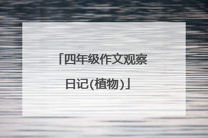 四年级作文观察日记(植物)