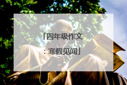四年级作文：寒假见闻