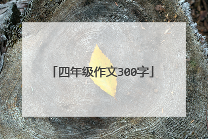 四年级作文300字